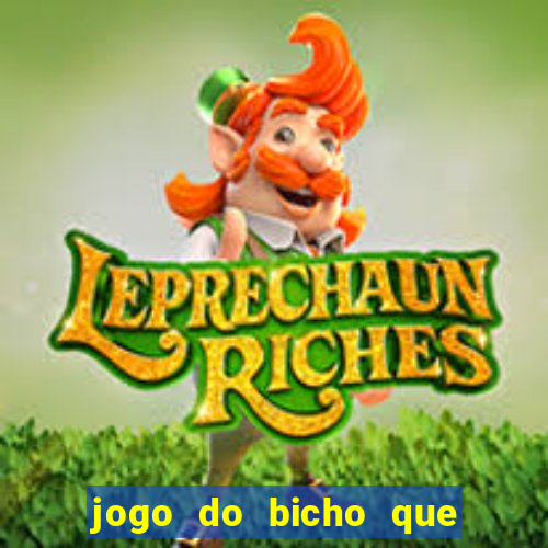 jogo do bicho que paga no pix